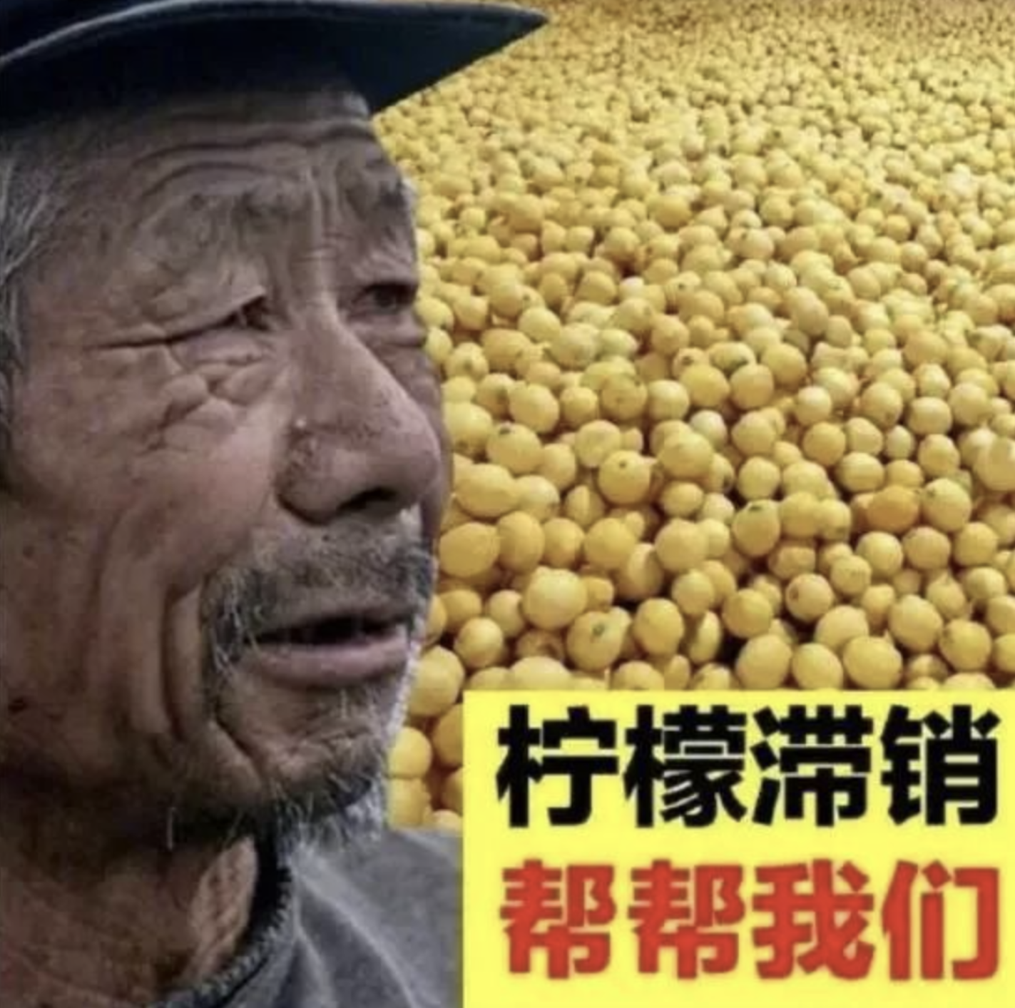 帖子图片