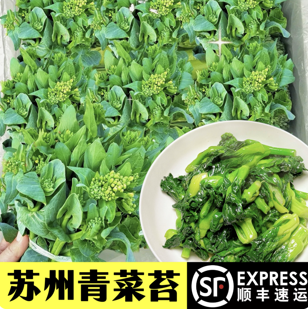 苏北青菜苔新鲜苏州青青菜苔霜冻菜心农家脆嫩蔬菜尖