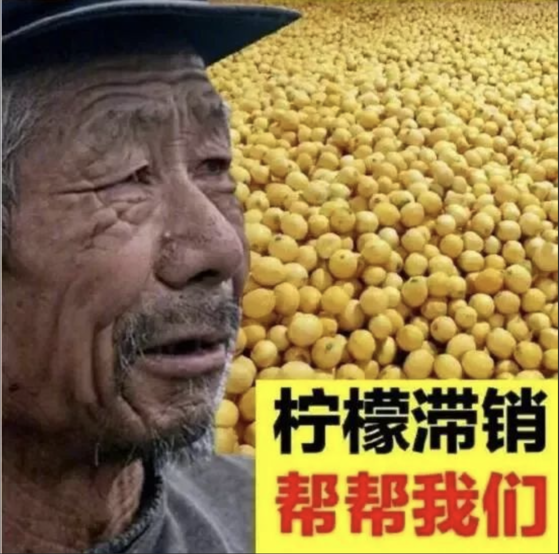 滞销柠檬1000g
