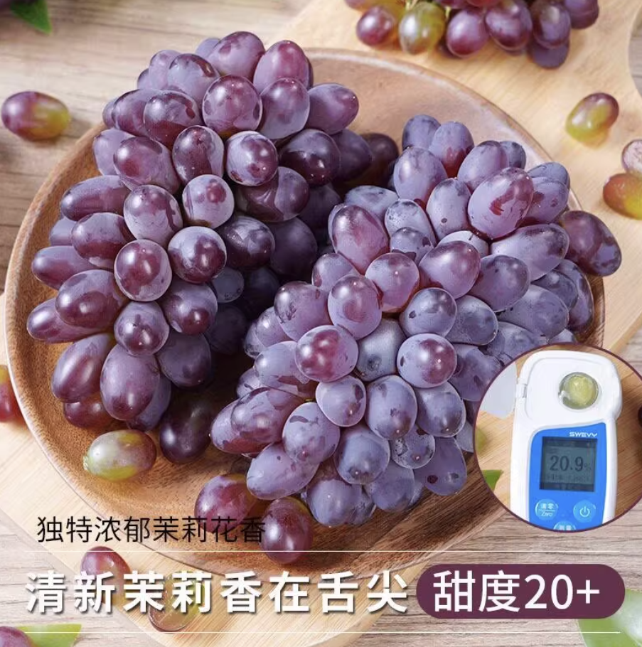 云南茉莉香葡萄现摘5斤无籽红提子当季新鲜水果顺丰包邮