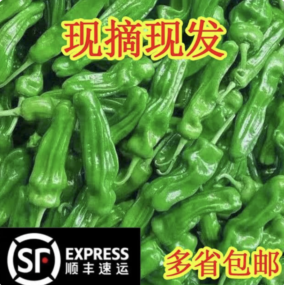 顺丰包邮农家新鲜虎皮薄皮青椒青辣椒菜椒牛角椒时令蔬菜